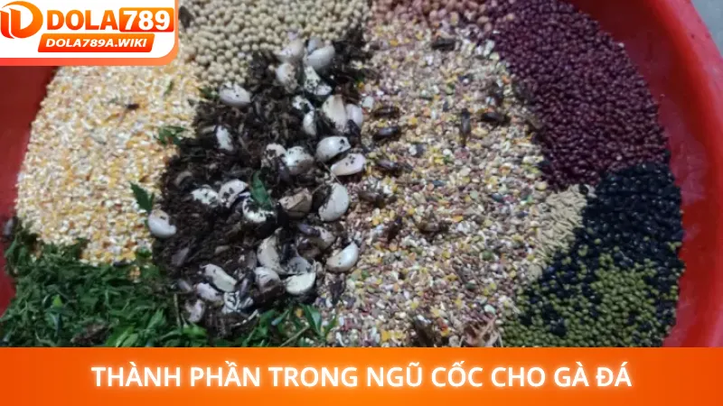 Thành phần trong ngũ cốc cho gà đá